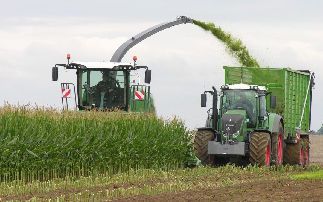 Sectores económicos de España: La agricultura se fortalece pese al covid